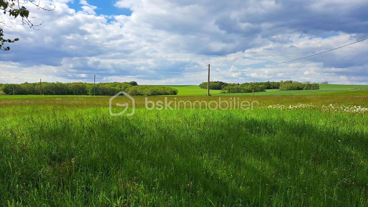 Maison à VERTEILLAC