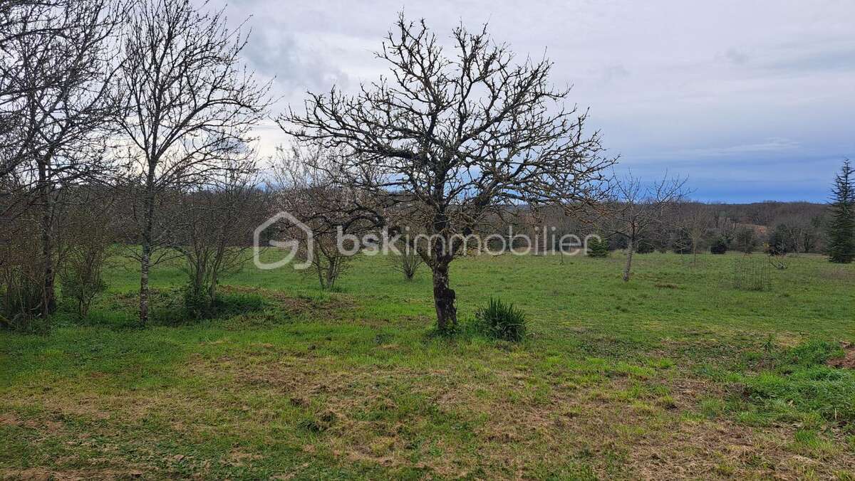 Maison à VERTEILLAC