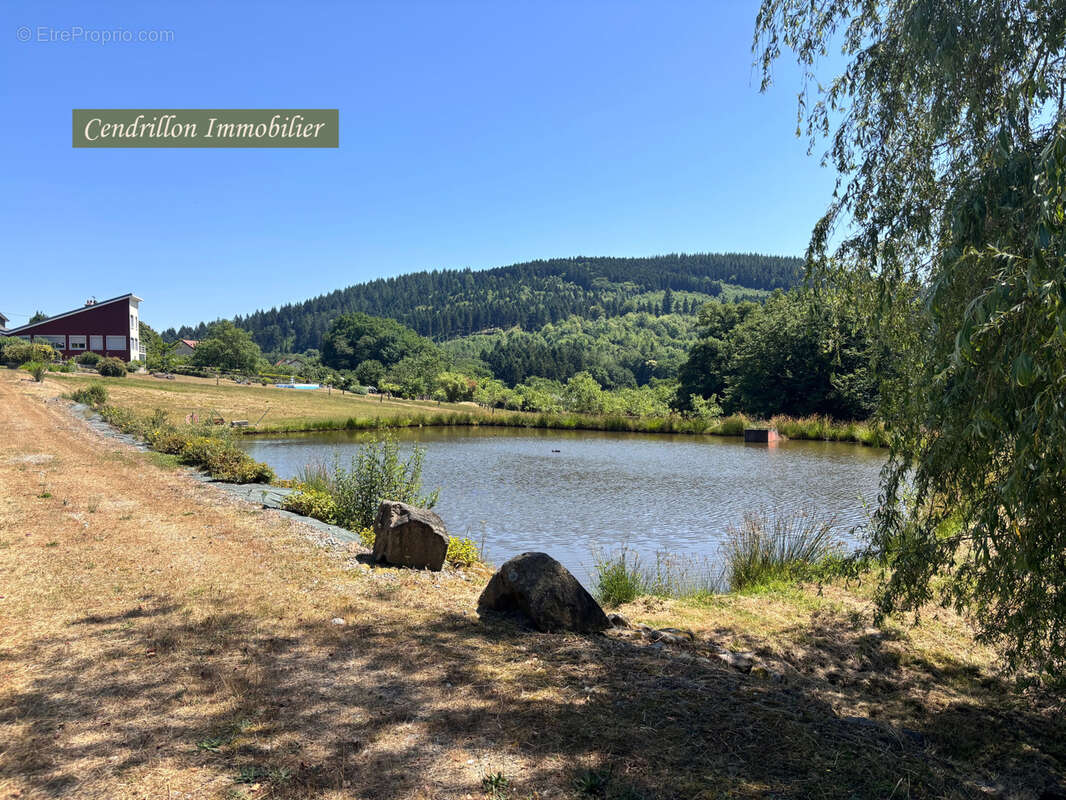 Maison à SAINTE-FEYRE