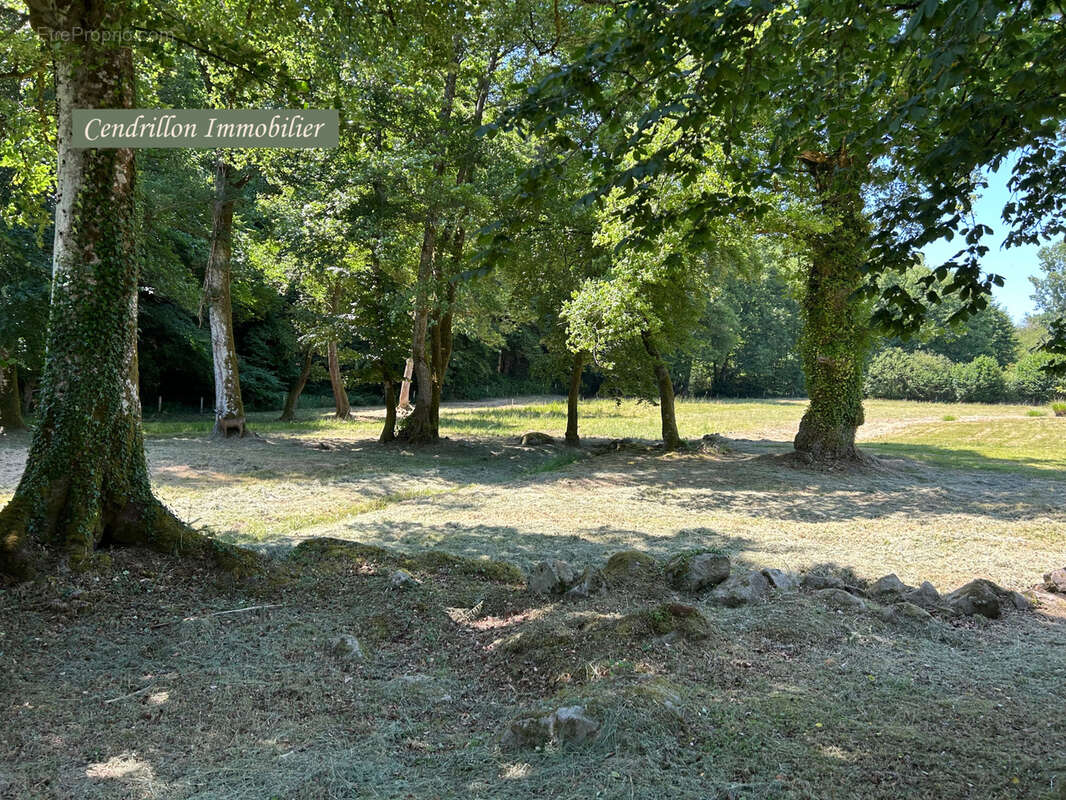 Maison à SAINTE-FEYRE