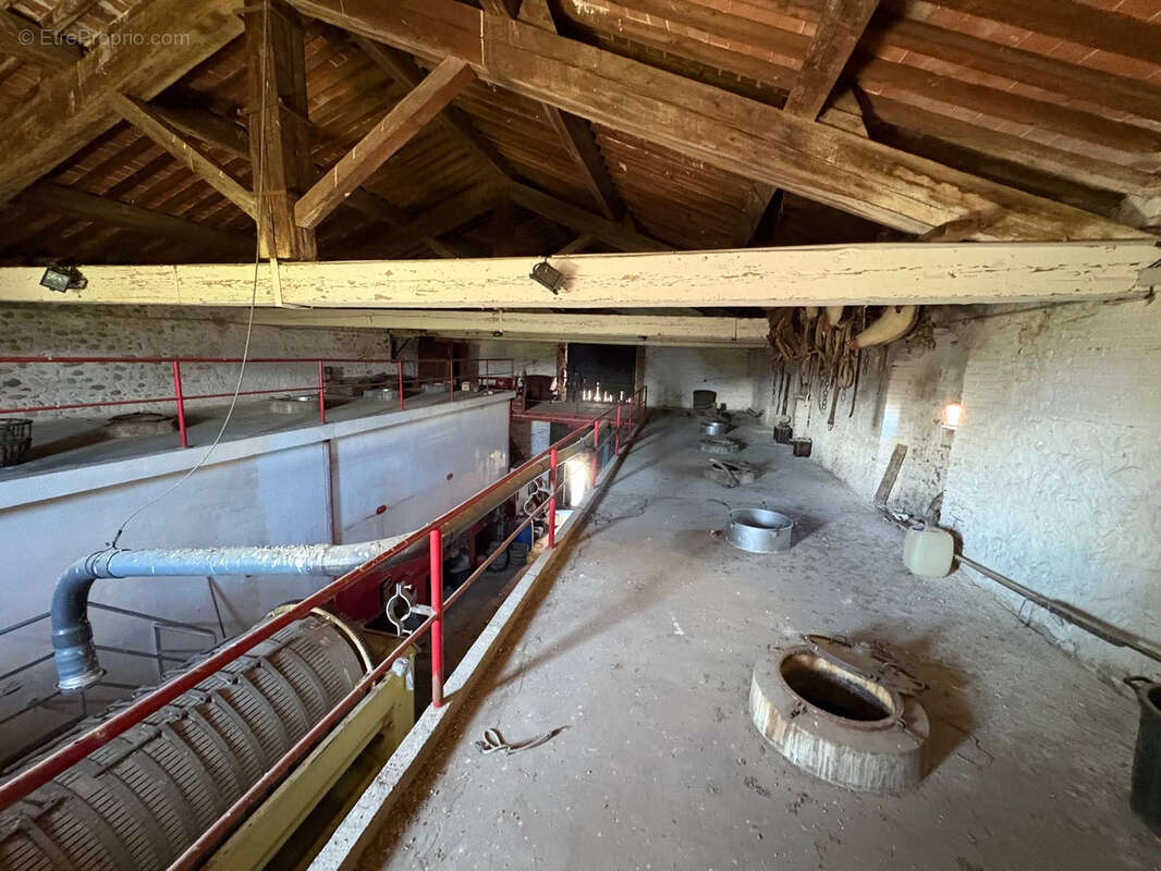 Maison à SAINT-JEAN-LASSEILLE