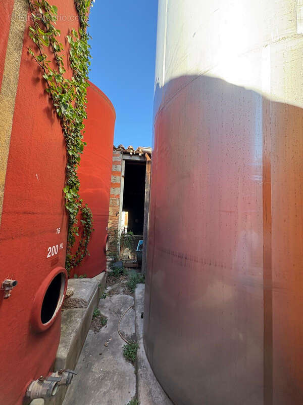 Maison à SAINT-JEAN-LASSEILLE