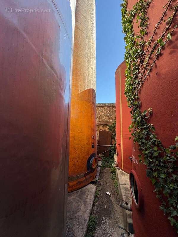 Maison à SAINT-JEAN-LASSEILLE