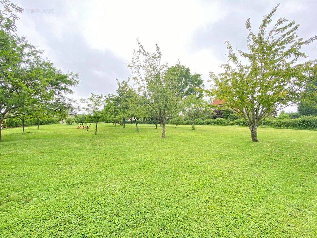 Terrain à VAUDOY-EN-BRIE