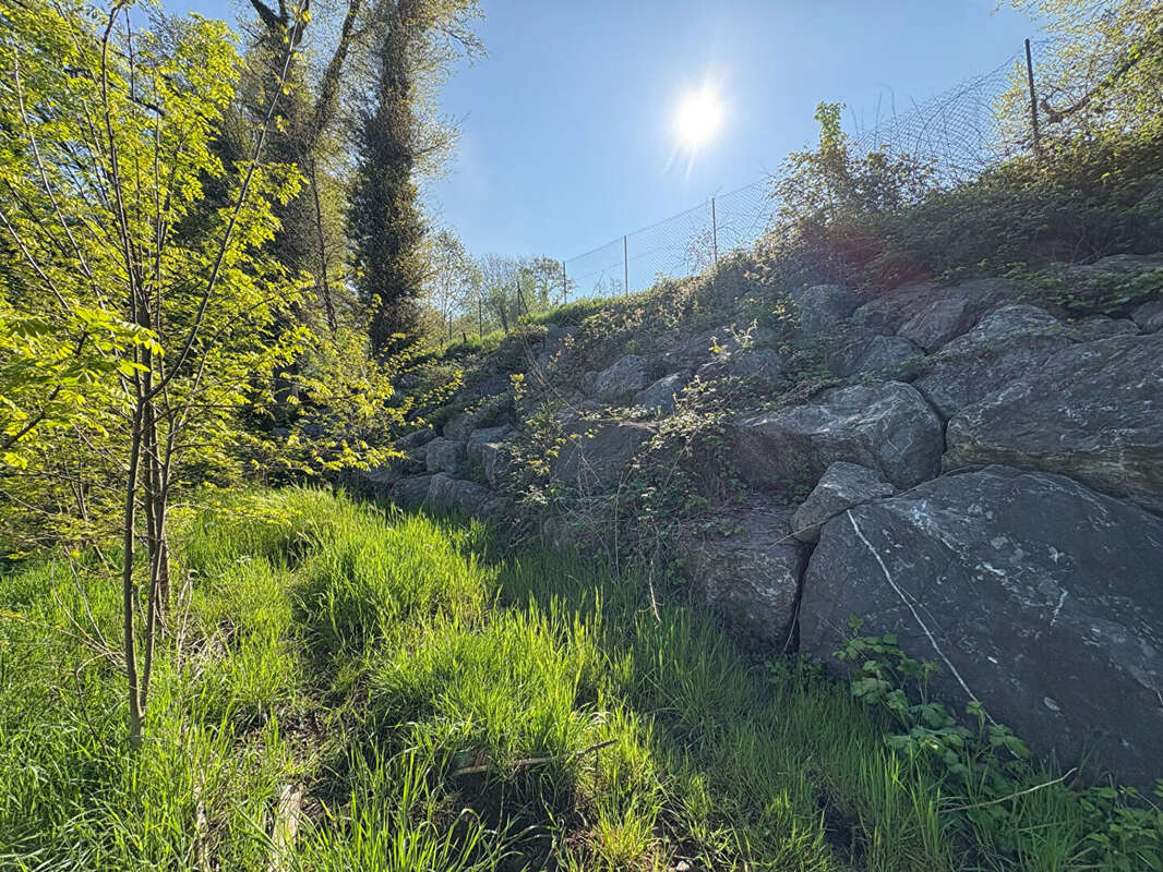 Terrain à SAINT-AVOLD