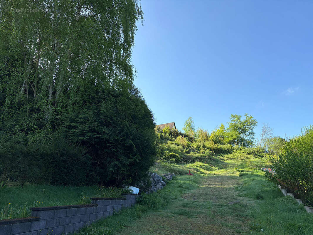 Terrain à SAINT-AVOLD