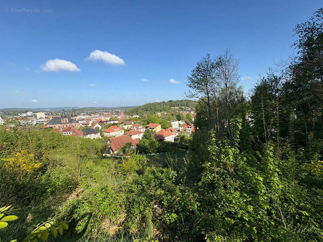 Terrain à SAINT-AVOLD
