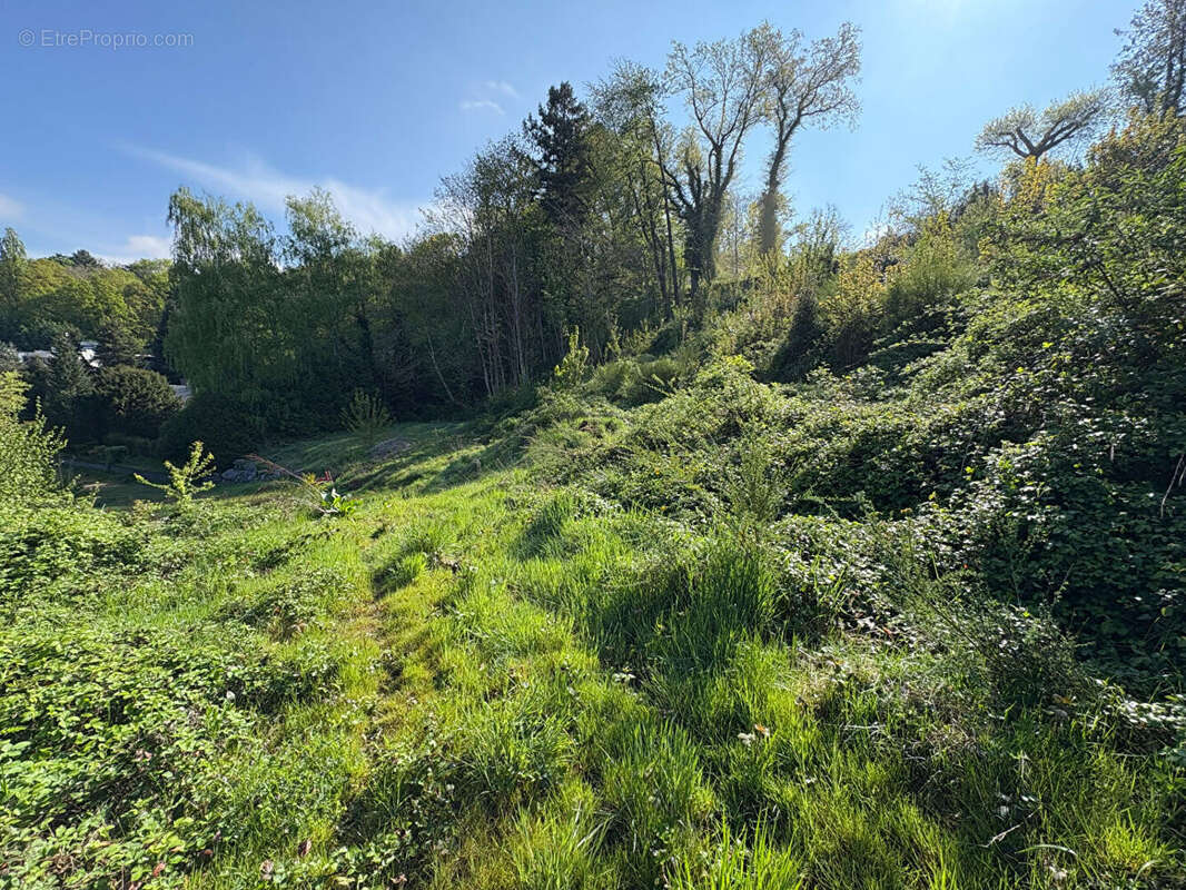 Terrain à SAINT-AVOLD