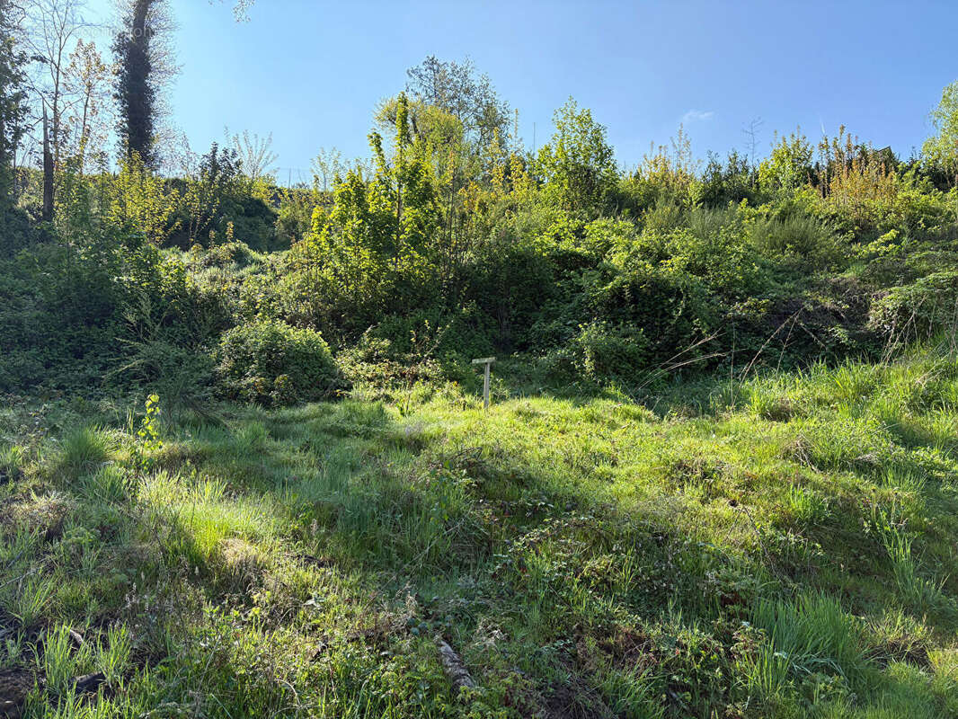 Terrain à SAINT-AVOLD