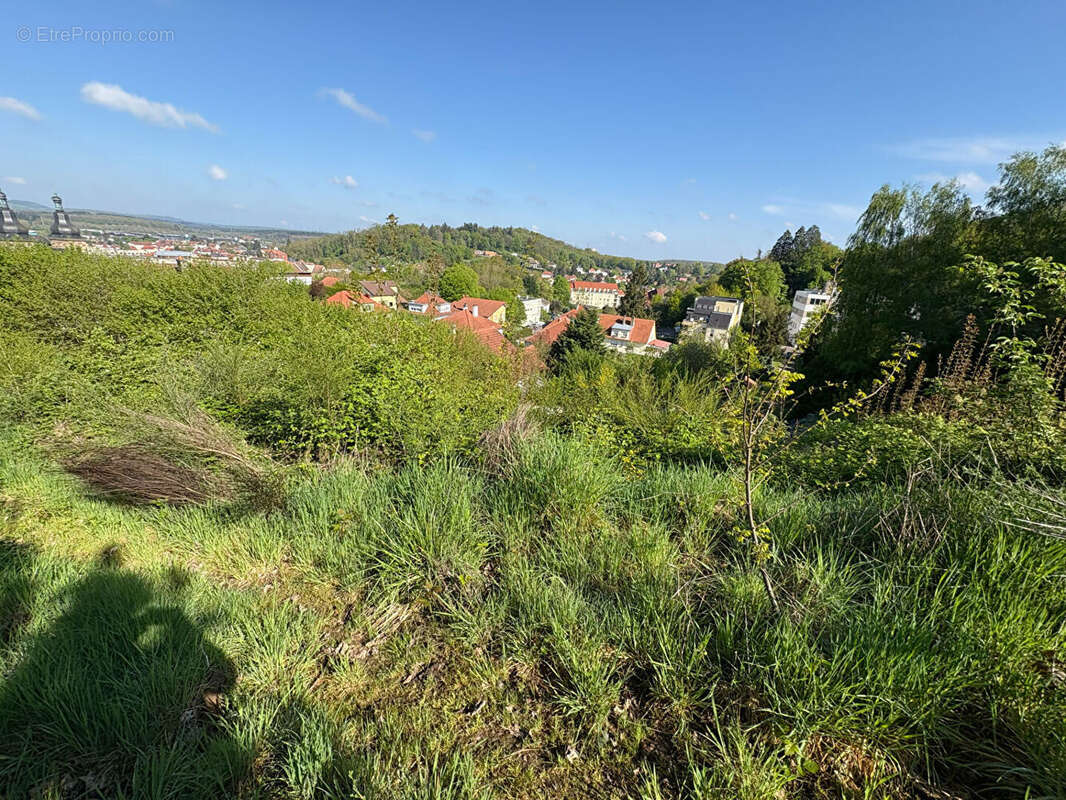 Terrain à SAINT-AVOLD