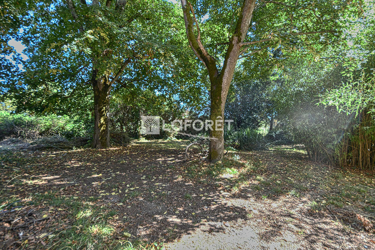 Maison à LISLE-SUR-TARN