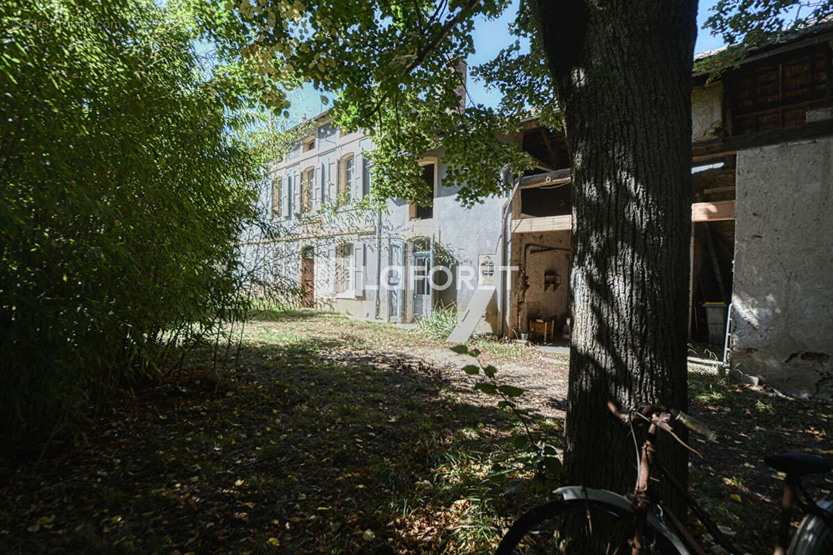 Maison à LISLE-SUR-TARN