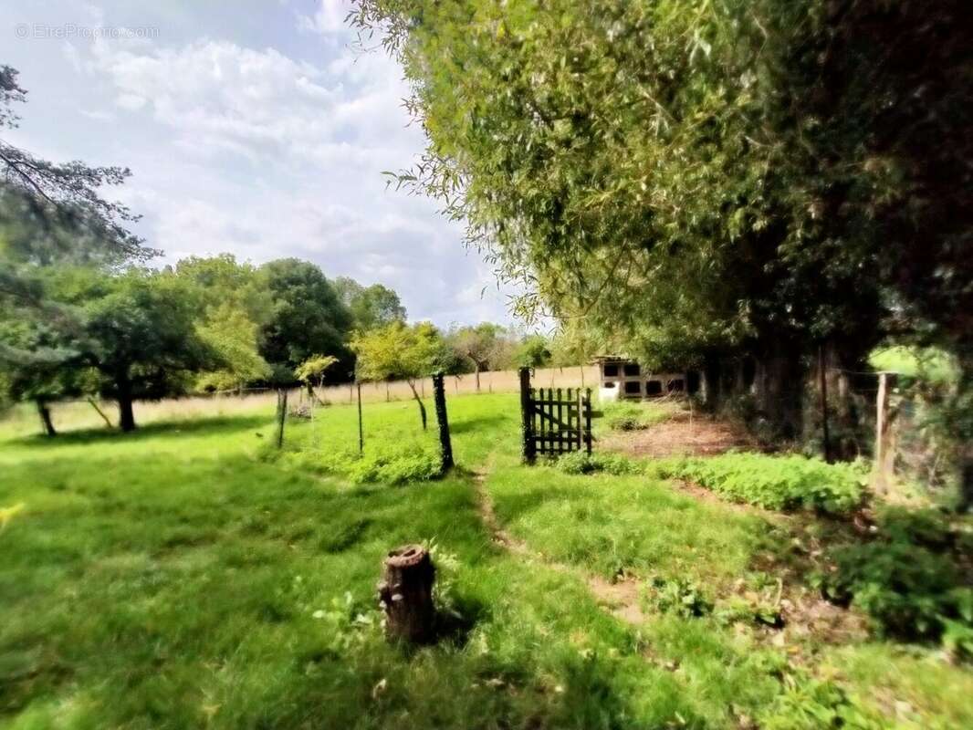 Maison à MEZIDON-CANON