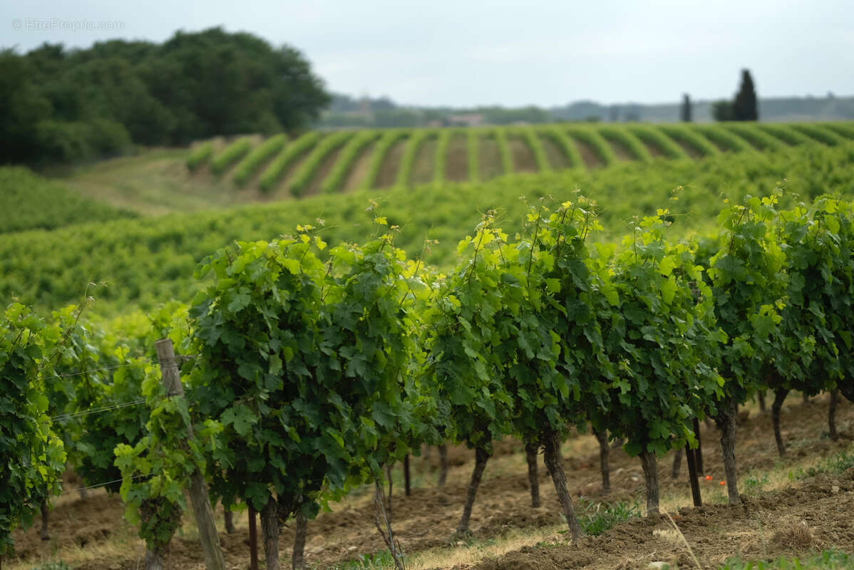 Maison à BELVEZE-DU-RAZES