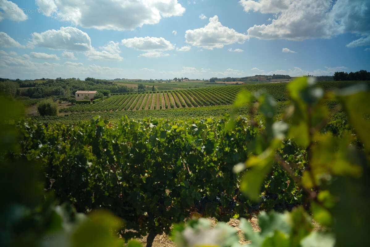 Maison à BELVEZE-DU-RAZES