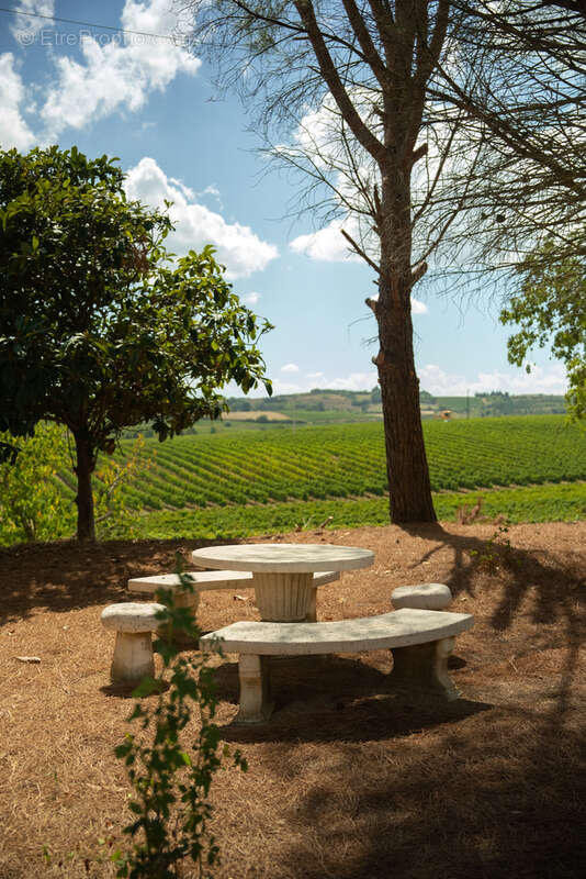 Maison à BELVEZE-DU-RAZES