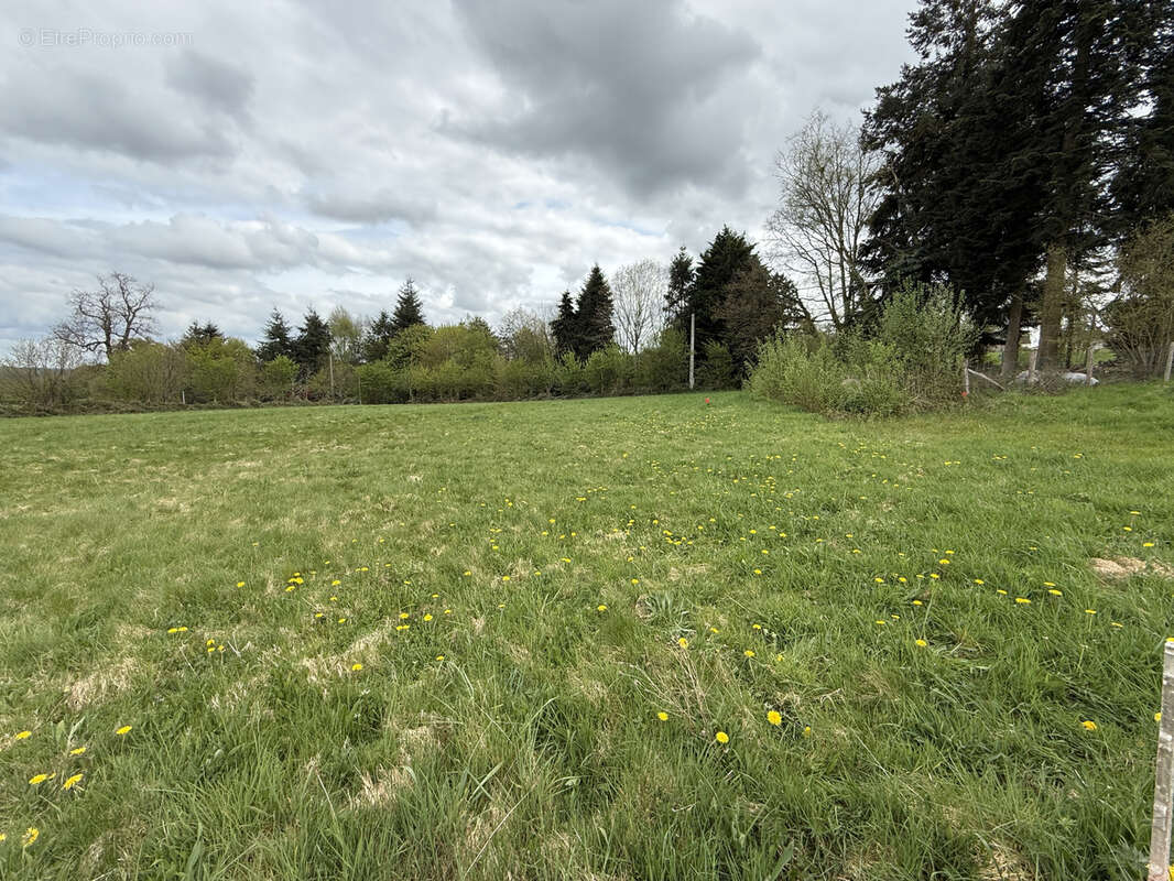 Terrain à SAINTE-OPPORTUNE