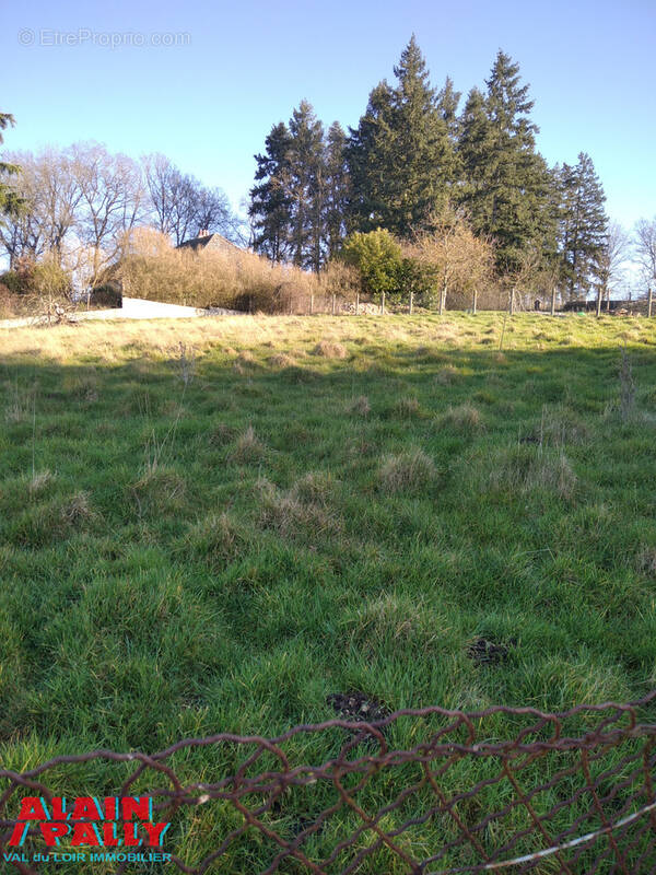 Terrain à CLOYES-SUR-LE-LOIR