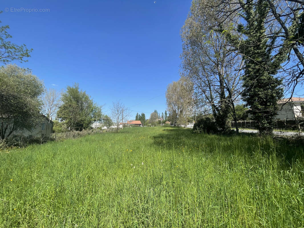 Terrain à CASTELJALOUX