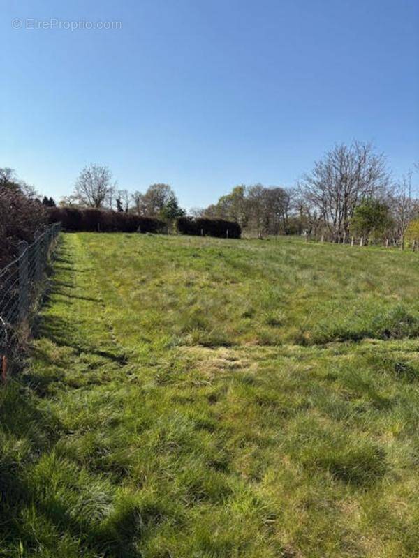 Terrain à BOBITAL