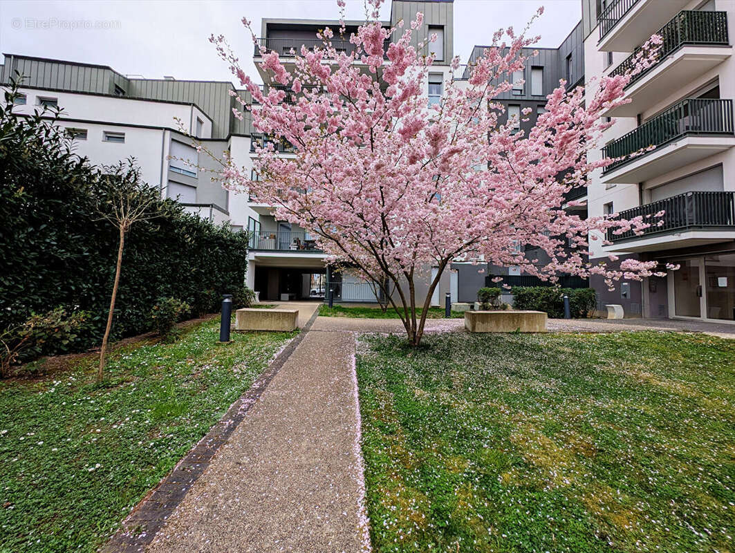 Appartement à BEZONS