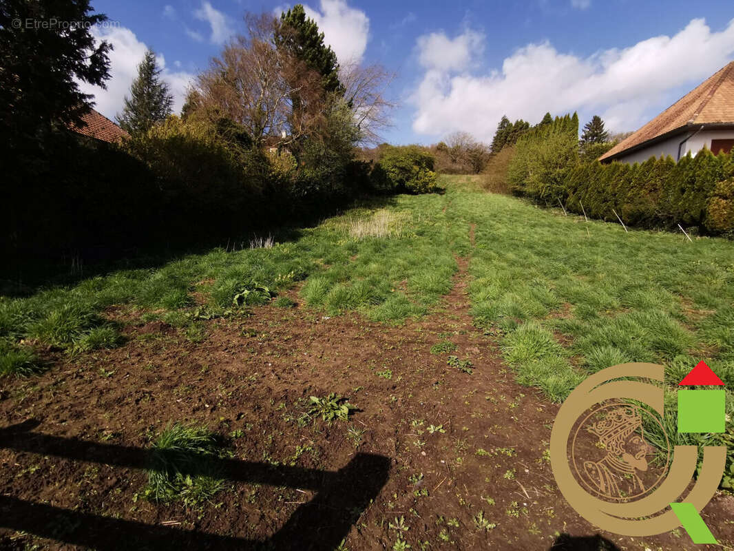 Terrain à HUBY-SAINT-LEU