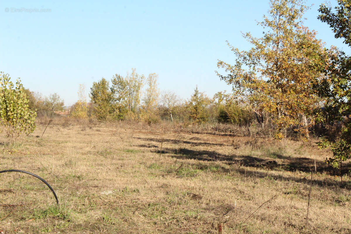 Terrain à NEGREPELISSE