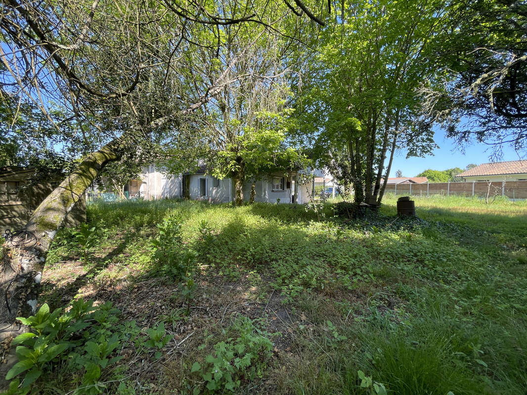 Maison à BELIN-BELIET