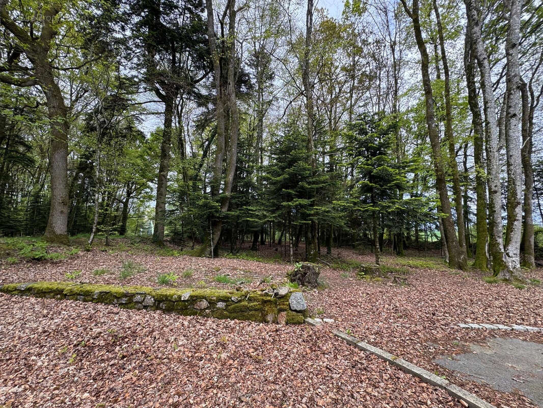 Maison à SAINT-GONNERY