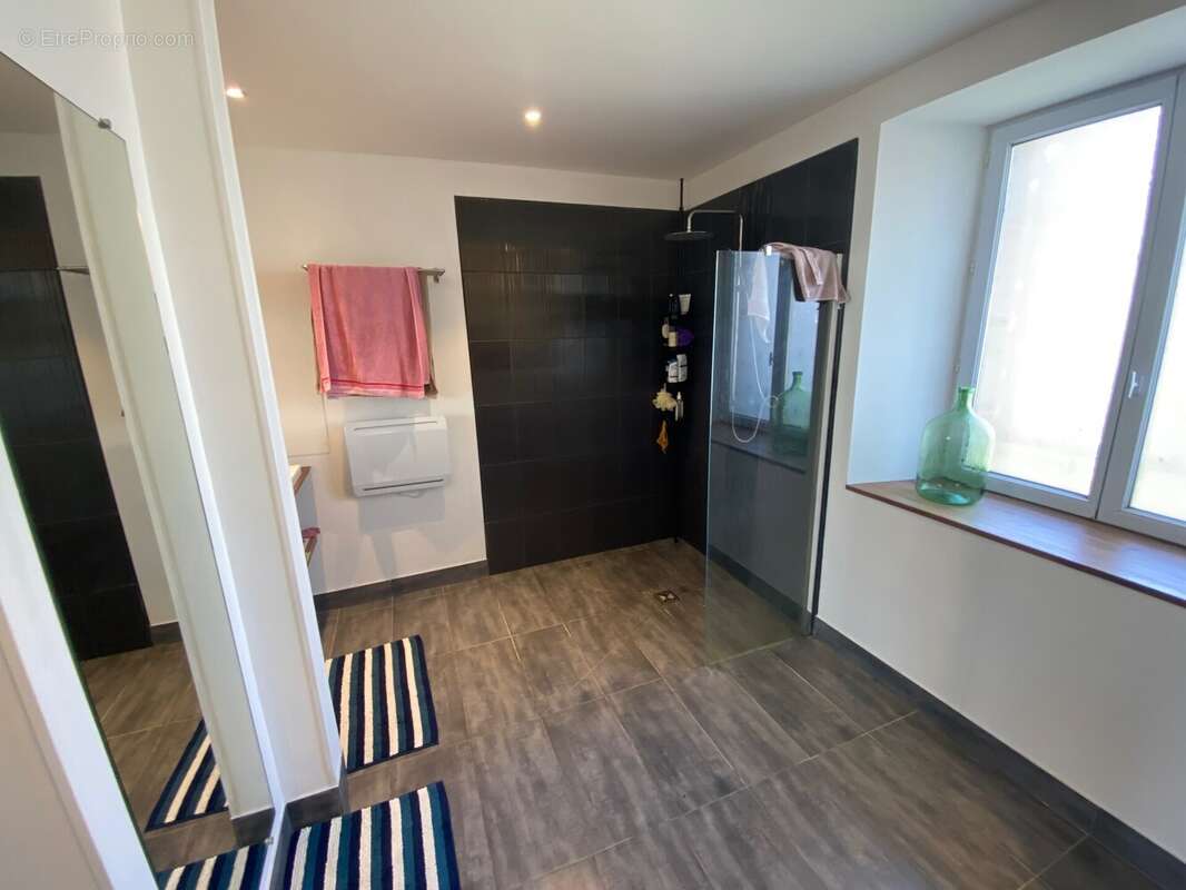 Salle d'eau RDC - Maison à NOISY-RUDIGNON