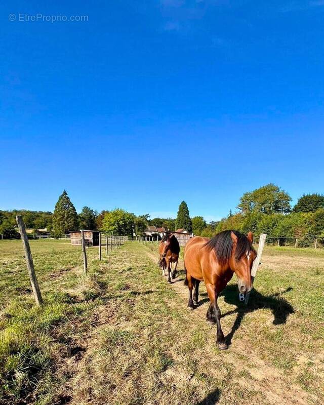 Photo 1 - Maison à AMBERIEU-EN-BUGEY