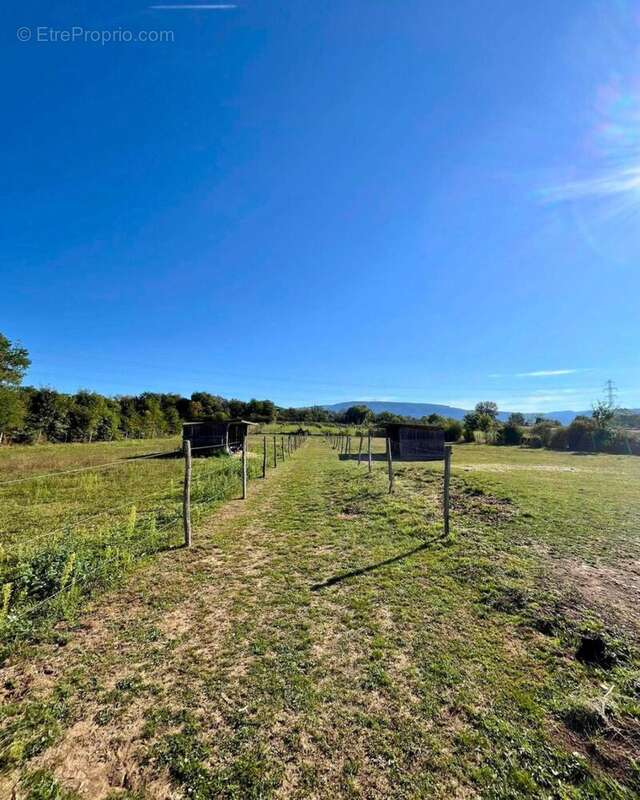 Photo 4 - Maison à AMBERIEU-EN-BUGEY