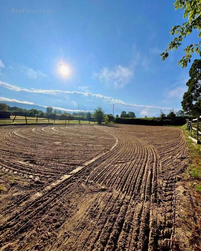 Photo 5 - Maison à AMBERIEU-EN-BUGEY