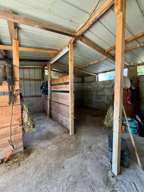 Photo 7 - Maison à AMBERIEU-EN-BUGEY