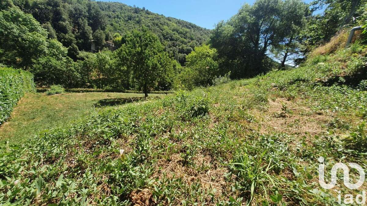 Photo 8 - Maison à CROS