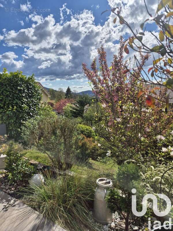 Photo 4 - Maison à ARBENT