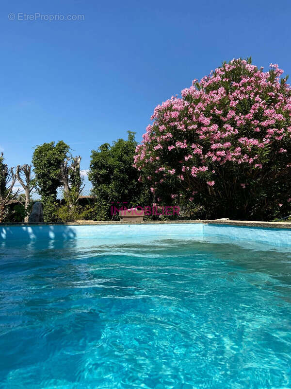 piscine en eau - Maison à BEDARRIDES