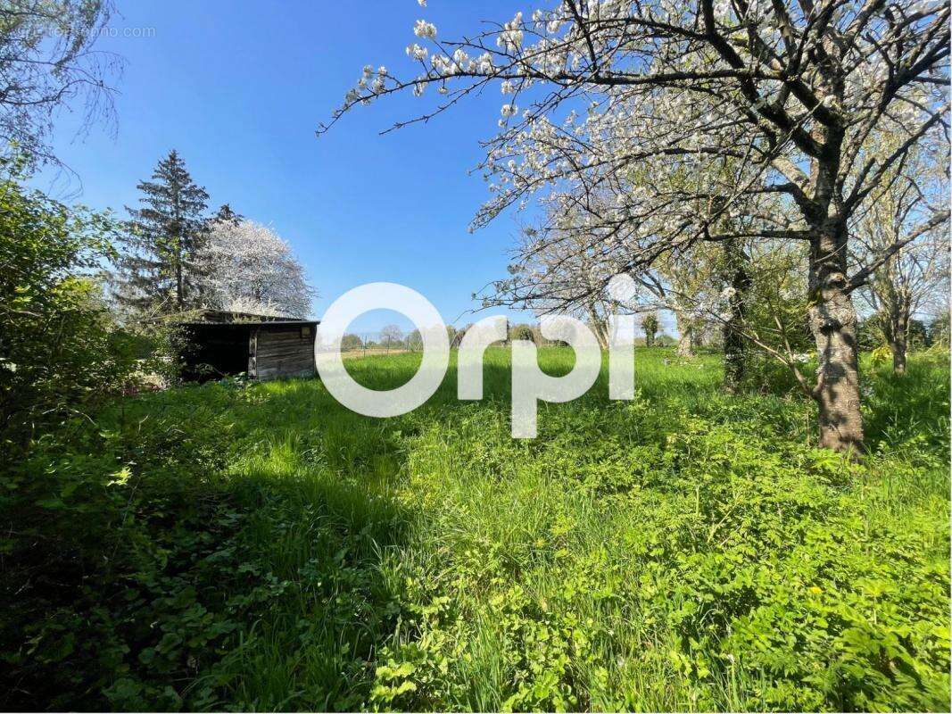 Maison à RONQUEROLLES