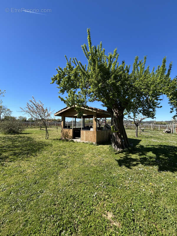 Maison à SAINT-PEY-D&#039;ARMENS