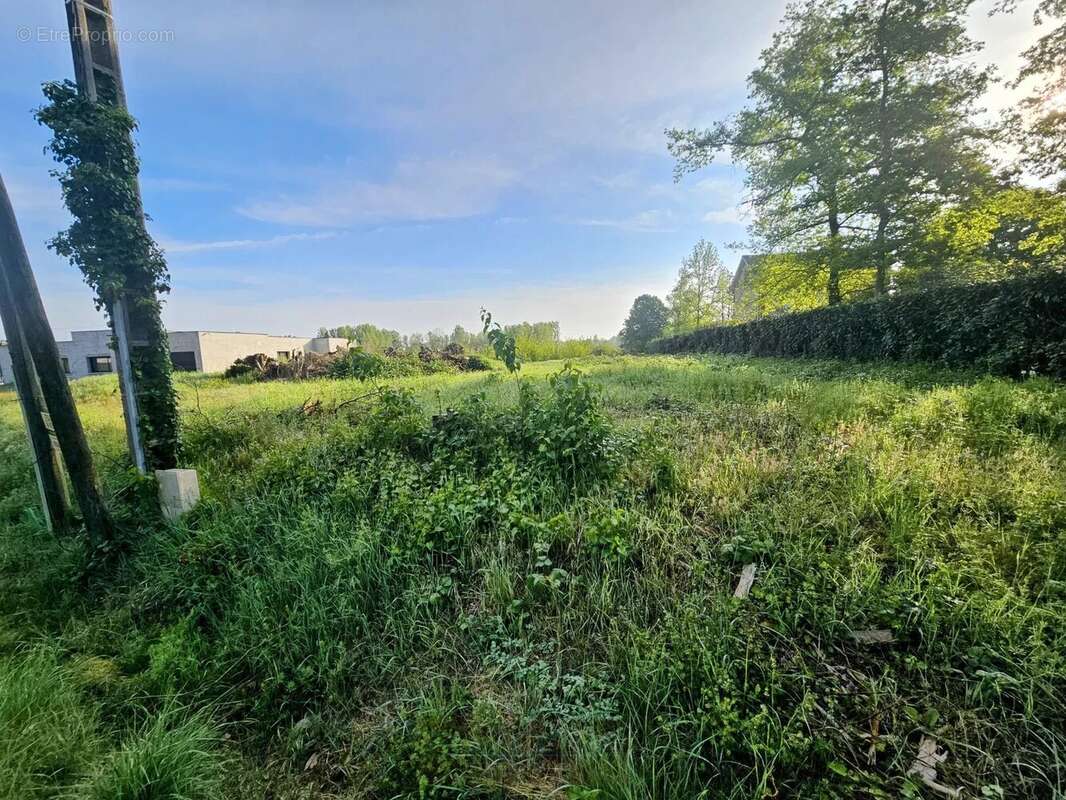 Terrain à AMILLY