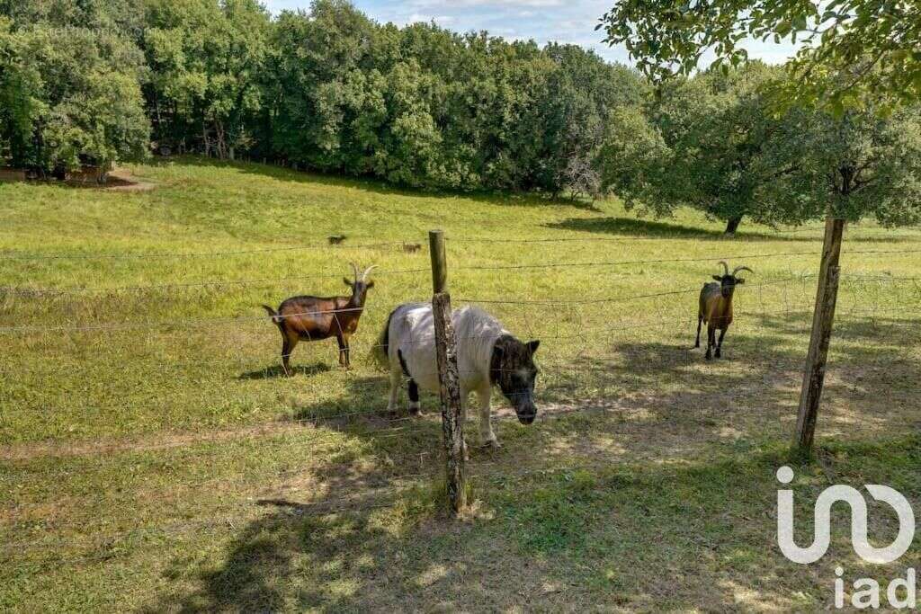 Photo 7 - Maison à COUTRAS