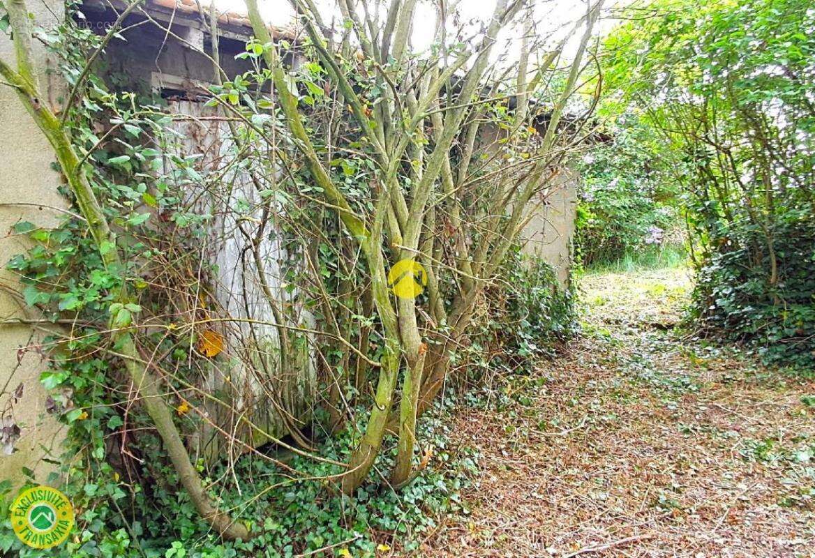 Maison à SAINT-HILAIRE