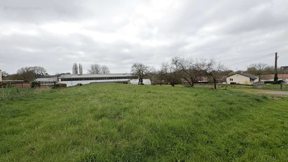 Terrain à NEUVY-EN-MAUGES