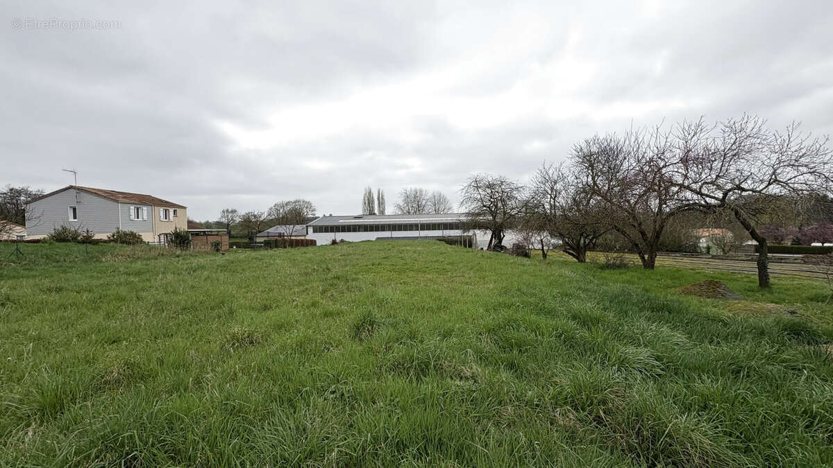 Terrain à NEUVY-EN-MAUGES