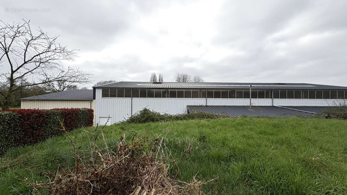 Terrain à NEUVY-EN-MAUGES