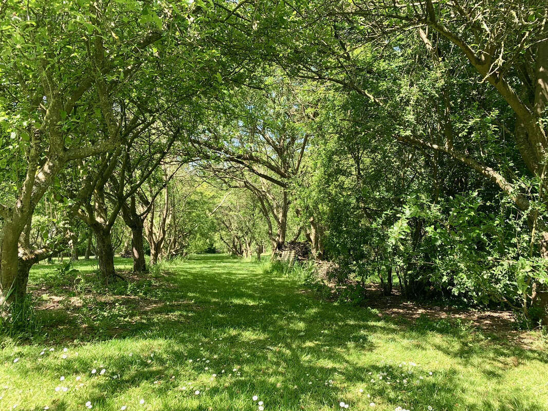 Maison à ENGLEFONTAINE