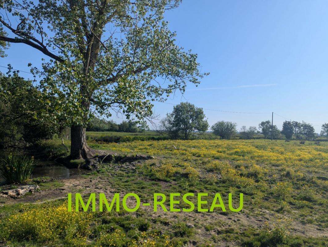 Maison à SAINT-HILAIRE-DE-RIEZ