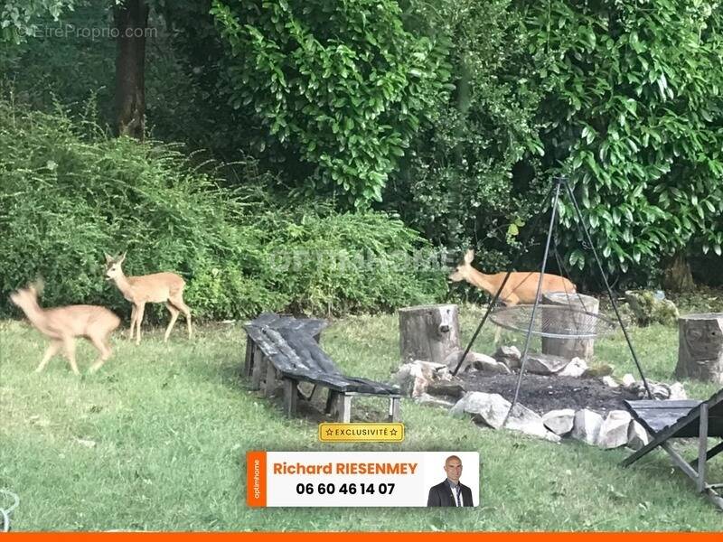 Maison à SAINT-CHERON