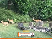 Maison à SAINT-CHERON