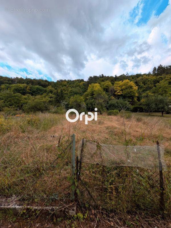 Terrain à JOINVILLE